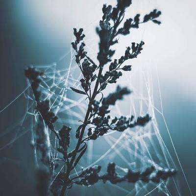 爱游戏全站APP下载手机app下载