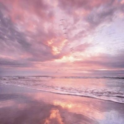 NG体育APP官方下载网址app下载